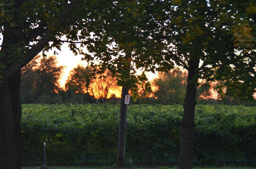 Old Town Country Landing Bed and Breakfast Niagara-on-the-Lake Exteriör bild